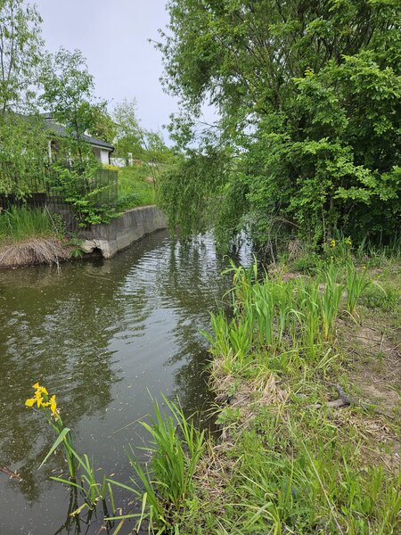 Snagov, Ghermanesti DJ101b